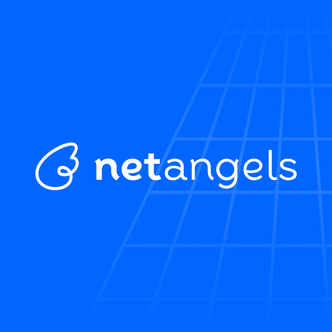 Screenshot of netangels.ru